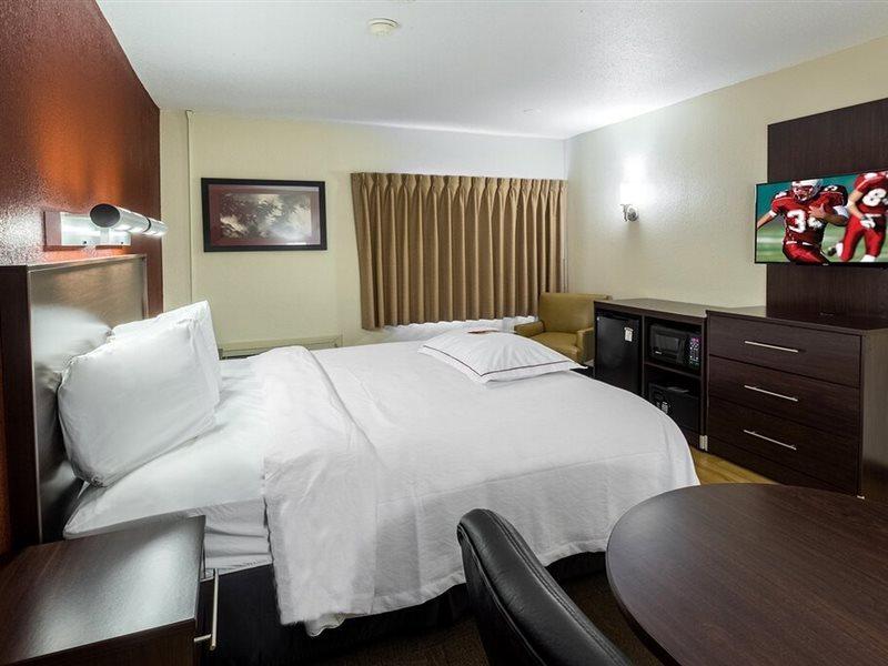 Red Roof Inn Plus+ South Deerfield - Amherst Eksteriør billede